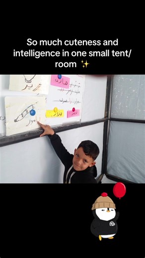 No matter what, we will always stay educated in Gaza. We’ve managed to print them a few alphabet books in English. Makeshift education is coming along nicely. We could still use so much more help! If you’re interested, please message me or check my bio for a direct link. 💕