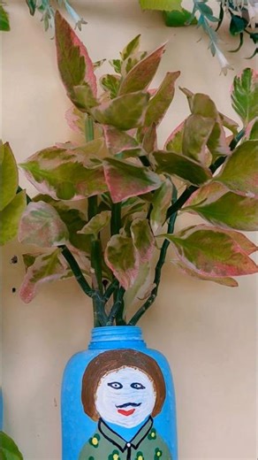 🍂Colourful leaf| Part-1 #Aglonema #Devil's Backbone #permanentplant #viral #ytshorts #gardening #bts