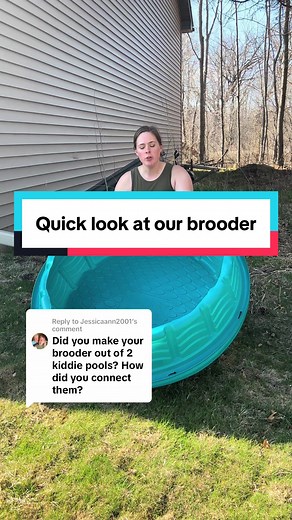 Creating a DIY Chicken Brooder for Under $20