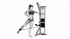 349K views · 1.8K reactions | Cable Hip Abduction - PROPER FORM  #WTW #WeightTrainingWomen #StrongWomen Free 4 Week Program  apple.co/2M6Znpg Android: bit.ly/WorkoutProgramsGoogle | Weight Training For Women | Facebook