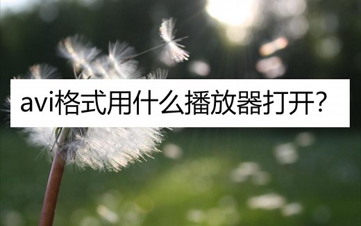 avi格式用什么播放器打开
