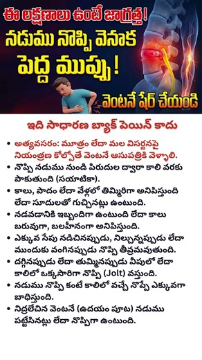 Disc Bulge - Symptoms, Triggers, and Red Flags You Must Know #discbulge #sciatica