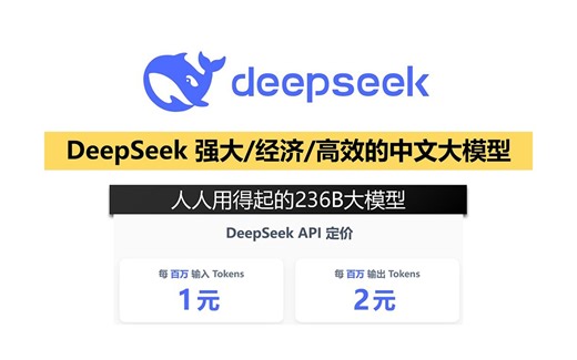 【中文大模型DeepSeek-V2.5】带你全面认识DeepSeek：使用DeepSeek 236B进行Text-to！