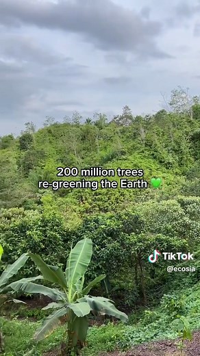 every day is Earth Day 💚🌳🐝🌏 #ecosia #earthday #earthdayeveryday #earthday2024 #beforeafter #regreening