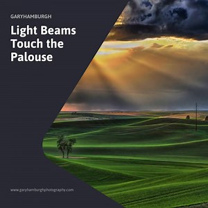 "Light Beams Touch the Palouse" // https://www.garyhamburghphotography.com/warehouse-open-edition-prints/art_print_products/light-beams-touch-the-palouse Radiant beams of sunlight break through heavy clouds, illuminating rolling green hills with a gentle glow. The landscape unfolds in graceful waves, each curve revealing depths of rich color and texture. A solitary tree stands resilient against the expansive backdrop, while distant power lines stretch across the horizon, subtly integrating human