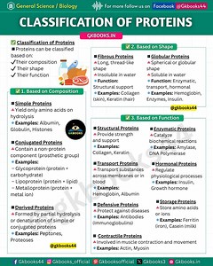 30K views · 304 reactions | Struggling with types of proteins? Here’s a crisp and exam-oriented infographic covering Classification of Proteins based on composition, shape, and function — with examples like insulin, collagen, hemoglobin, and more! #ProteinClassification #BiologyInfographic #ScienceGK #ExamNotes #NEETBiology #UPSCBiology #SSCScience #RailwayExam #CompetitiveExams #BiologyFacts #ProteinsExplained #ScienceMadeEasy | Gkbooks | Facebook