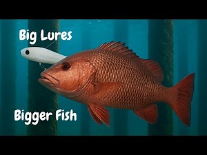 FISHING On The GOLD COAST