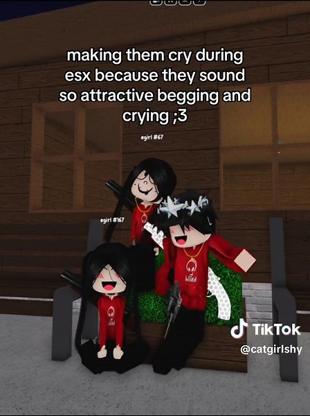 Adorable Kittens Meowing in Roblox