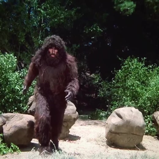 Bionic battle! #trending #viral #followback #saturdaymorning #bionic