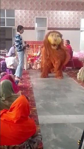 sher ji kha dance ❤️‍🩹🙏 #shortvideo #trending #love #songs #dance