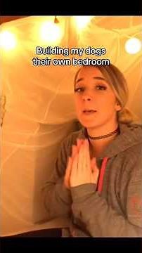 Turning my staircase into a dog bedroom #jennamarbles #jennamarblesedit