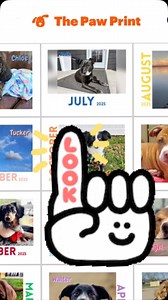 Bethel Sanitation presents… your July calendar queen! 🐶🐾 Sadie, our fearless Queen of Clean, is front and center in the 2024/2025 Paw Print Calendar—rockin’ the month of July like only she can. Sunshine, tail wags, and trash bags… what more could you want? #trashtalk #queenofclean #thursday #thursdayvibes #calendargirl #dogs #bethelsanitation | Bethel Sanitation