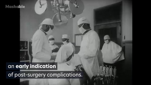 6.8K views · 17 reactions | Innovative biocompatible stickers can now...