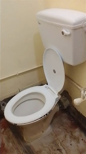 commode setting#plumbing #waterpump #viral #pipelining