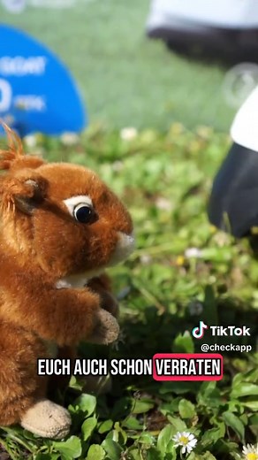 Ecovacs Goat o800 RTK im Test, ausführlicher Bericht im Blog. #ecovacs