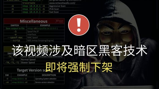 【判刑率99.9%】暗网黑客技术教程，只要你敢学我就敢教，零基础学习网络安全/渗透测试/信息安全/DDoS攻击