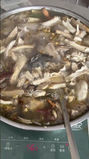 Unveiling Nature's Treasure: Wild Mushroom Soup