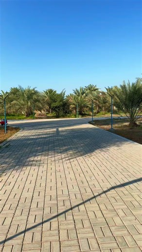 Exploring TikTok in Austria and Kenya