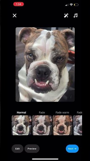How to Preview Your Instagram Posts in Your Feed Before Posting 🤯
