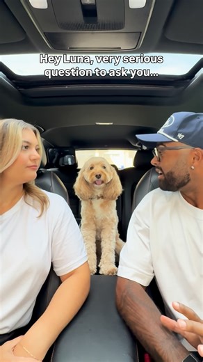 Luna The Mini Cockapoo on Instagram: "She was genuinely torn 🥺 #dogs #puppylove #minicockapoo"