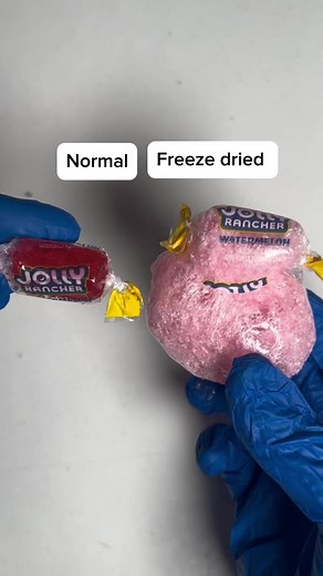Exploring Freeze Dried Sweets: A Sweet Business Venture