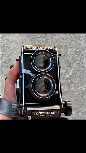 Mamiya C330 #mamiyac330 #mediumformat #cameras #photowalk #filmcamera