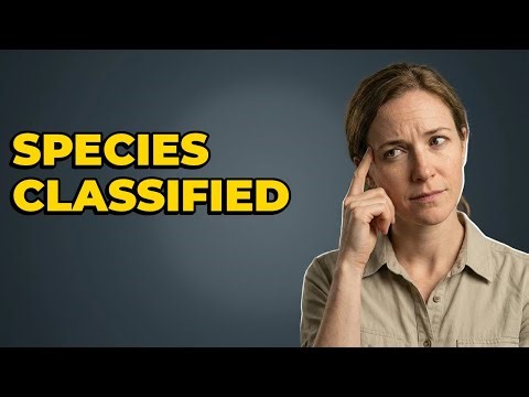 How Do Researchers Categorize Wild Animal Species?