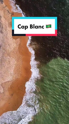 Explore Cape Blanc: Nature's Oasis in Mauritania