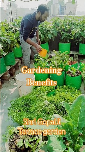 Top Benefits of Gardening | Healthy Mind, Healthy Body 🪴, #Motivation