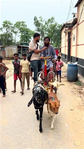 Unable to find motorcycle oil, the dog built a car with a goat #amazing #shorts #shortvideo #viral