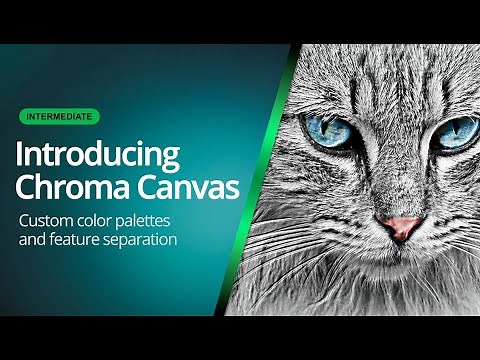 Chroma Canvas - Custom Color Palettes and Feature Separation