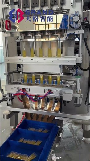 Multilanes 10-Lane Liquid Sachet Packaging Machine