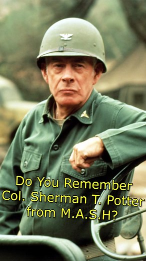 DoYouRemember on TikTok