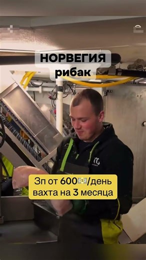 Заполните форму в профиле #работа #море #норвегия #многоработ #крабы