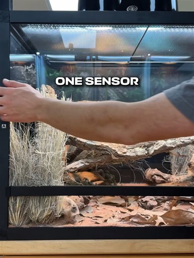 One system to sense them all! SlitherSense™ makes monitoring your reptile’s habitat easier than ever. Each sensor tracks temperature and humidity data in real time, viewable through your smartphone or computer. You’ll also have access to tools that let you organize and format your historical data to fit your specific needs. Each sensor is IP66 water-resistant and can be used monitor anything from the micro-climates in your reptile's habitat to the egg boxes in your incubator. Whatever the situat