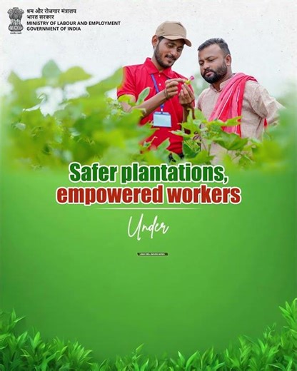 The Labour Codes mandate training on chemical handling, protecting workers from risks on the ground.