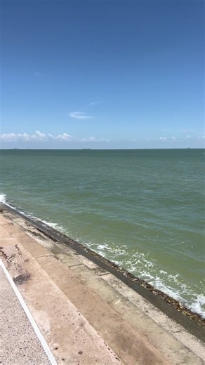 Selena Washing Machine Dance Challenge