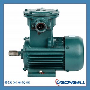 [Hot Item] Yb3-315s-6 75kw 100HP 990rpm Yb3 Explosion-Proof Tefc Motor for Gas Station