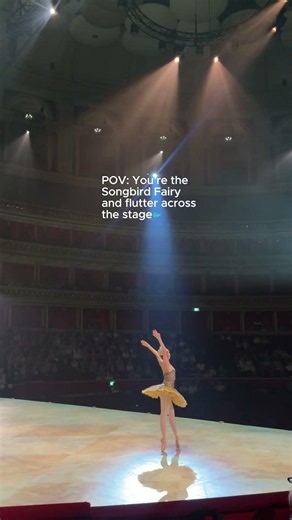 POV: you're the Songbird Fairy and flutter across the stage 🐦