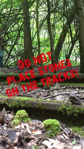 Slingshot - Do NOT place stones on the tracks