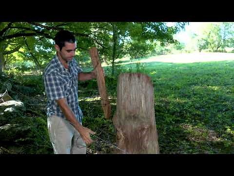 Perimeter Fencing: How to Use Live Trees as Fence Posts (Hidden Blossom Farm Fencing Series 3/10)