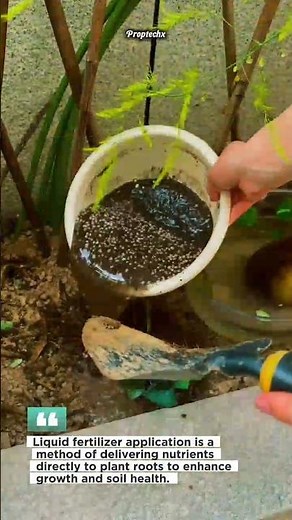 Liquid Fertilizer Boosts Plant Growth Fast! #gardening #farming #plantcare