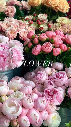 I asked you in my stories what you thought I would be and you guys were pretty unanimous in your answers! I think it’s pretty spot on🤣 This was so much fun to put together! | Machine & Technology