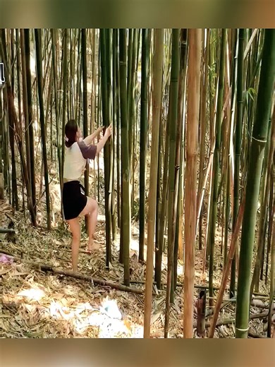 Construcción de una Casa de Bambú en la Naturaleza