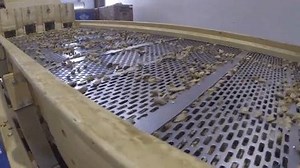 You may not realize that almond trees grow 3 crops: a hull, a shell and a kernel. The kernel is what we eat. To get to that delicious and nutritious nut, the whole fruit passes through a roller to remove the hull and any debris from the field. The hull isn’t very tasty for us, but it’s has nutrient value for dairy cows. So they are sold as dairy feed, reducing the amount of water used to grow other feed crops. Learn more at http://Almonds.com/sustainability | CALIFORNIA ALMONDS