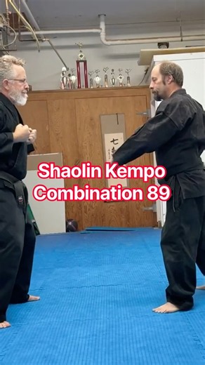 Shaolin Kempo Combination 89 #kempo