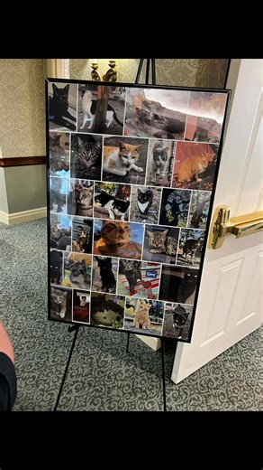 It was a lovely spaghetti dinner fundraiser at the Timber Pines Residence! Thank you to all that made it possible. | PAW Warriors Inc