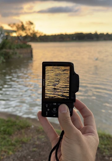 Mastering Canon Powershot SX170IS Photography Techniques