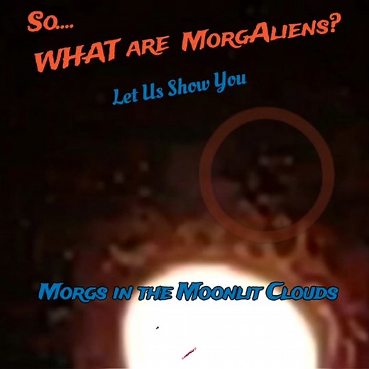 Morgs in the Moonlit Clouds creating geometric shapes with insane speeds. We slowed the footage down so one can see each frame. Morgs are an incredible, almost supernatural lifeform we are studying. You wouldn't believe what they do. #Morgs #morgshorts #skywatching #alienlifeform #Morgellons #uapnews #uaptiktok #morgaliens #Alien #moon Music courtesy of:: #musicalgenius @itsbrycesavage 💋 @neffex @neffex_official_music