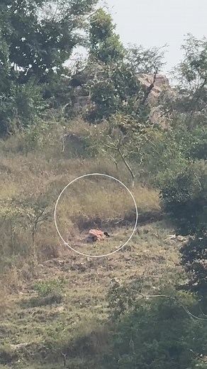 10M views · 26K reactions | My risk team on Reels | Facebook